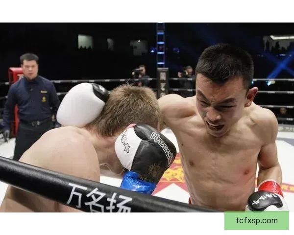 以哈亚对阵铁英华巅峰较量揭开格斗擂台荣耀新篇章世纪之战全面爆发