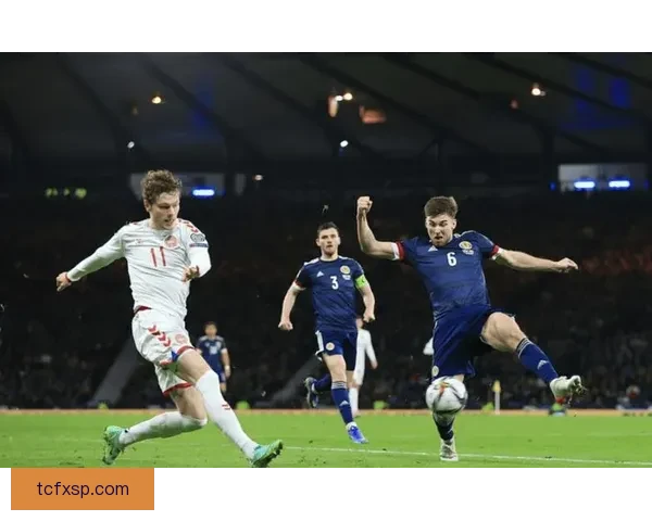 丹麦对阵奥地利关键之战解析球队状态与出线前景展望全面预测看点