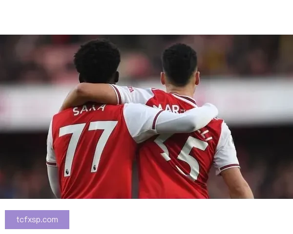 以萨贾德vs马丁为焦点的巅峰对决全面解析与前景展望赛场风云 以萨贾德vs马丁为焦点的巅峰对决全面解析与前景展望赛场风云